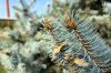iPhone-15-Closeup_004.jpg