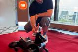 Xiaomi-CyberDog-2 (2).jpg
