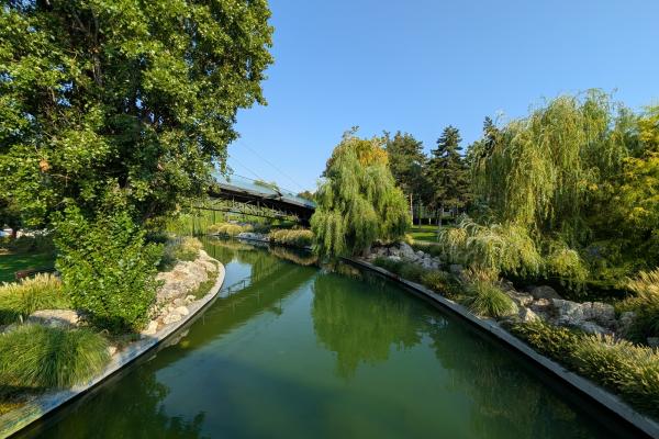 Google Pixel 9 - Mostre Foto (ziua)