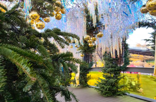 Redmi Note 15 Pro+ - Mostre 200 mpx: IMG_20251219_152415.jpg