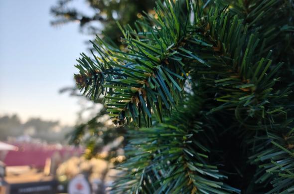 Redmi Note 15 Pro+ - Mostre zi: IMG_20251219_152355.jpg