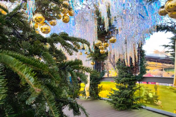 Redmi Note 15 Pro+ - Mostre 200 mpx