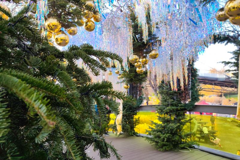 Redmi Note 15 Pro+ - Mostre 200 mpx: IMG_20251219_152415.jpg