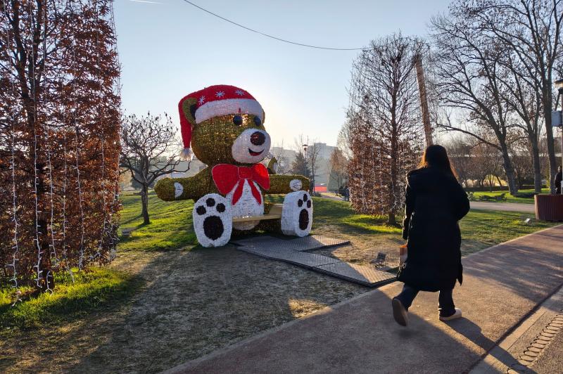 Redmi Note 15 Pro+ - Mostre zi: IMG_20251219_152057.jpg