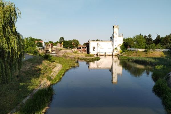 Honor Magic 4 Lite - Mostre Foto (ziua)