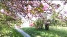 HTC Desire 820 auto focus video sample II. (Full HD, 1920x1080px, 30 FPS) - Mobilissimo.ro