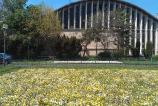 HTC-Desire-S-Mostre-foto-ziua_009.jpg