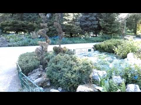 HTC Desire 820 video sample I. (Full HD, 1920x1080px, 30 FPS) - Mobilissimo.ro